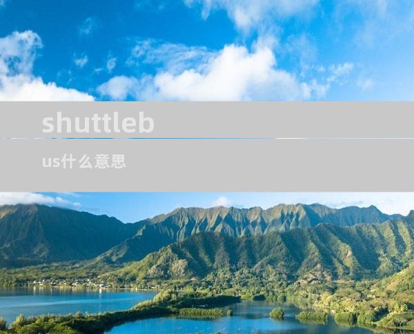 shuttlebus什么意思