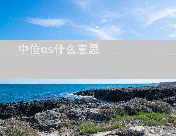 中位os什么意思