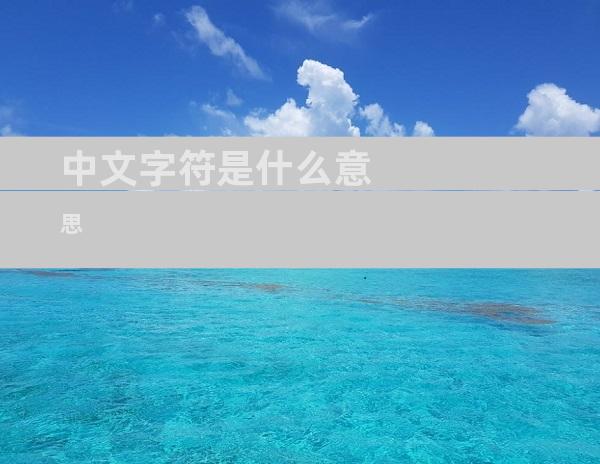 中文字符是什么意思
