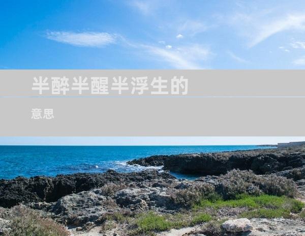 半醉半醒半浮生的意思