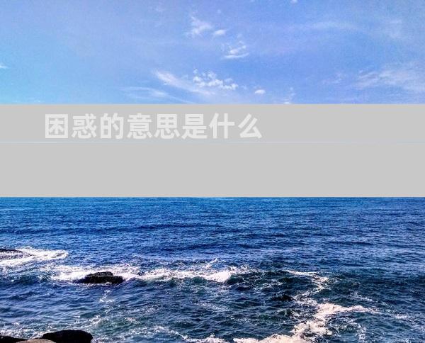 困惑的意思是什么