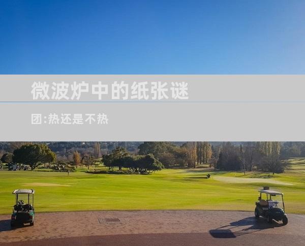 微波炉中的纸张谜团:热还是不热