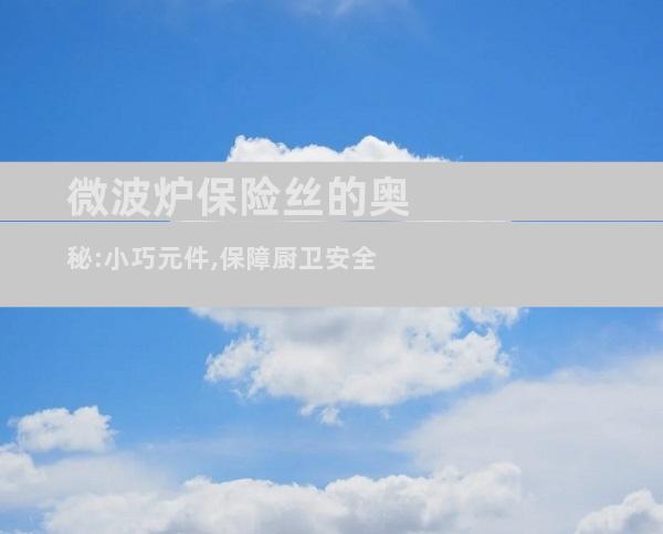 微波炉保险丝的奥秘:小巧元件,保障厨卫安全