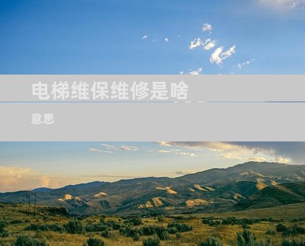 电梯维保维修是啥意思