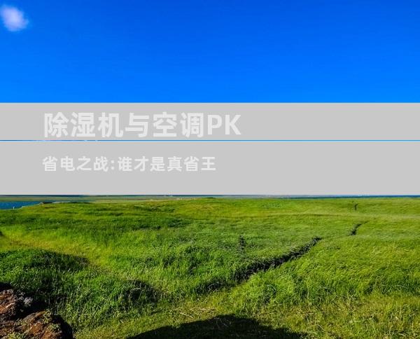 除湿机与空调PK省电之战:谁才是真省王