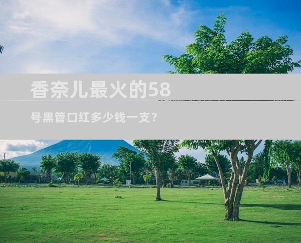 香奈儿最火的58号黑管口红多少钱一支？