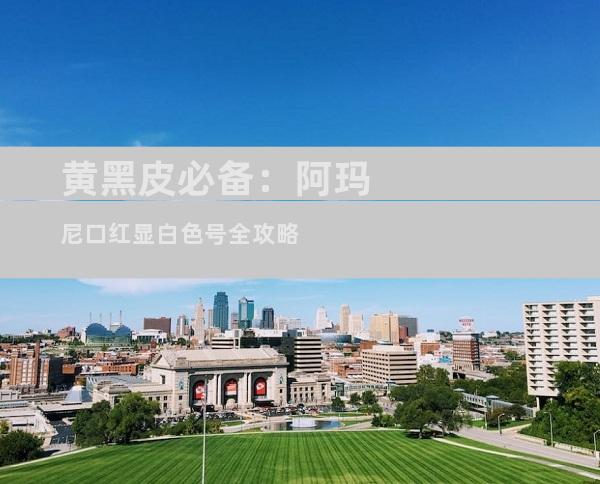 黄黑皮必备：阿玛尼口红显白色号全攻略