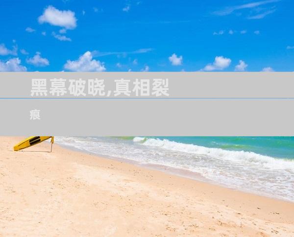 黑幕破晓,真相裂痕