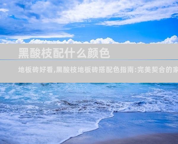 黑酸枝配什么颜色地板砖好看,黑酸枝地板砖搭配色指南:完美契合的家装美学