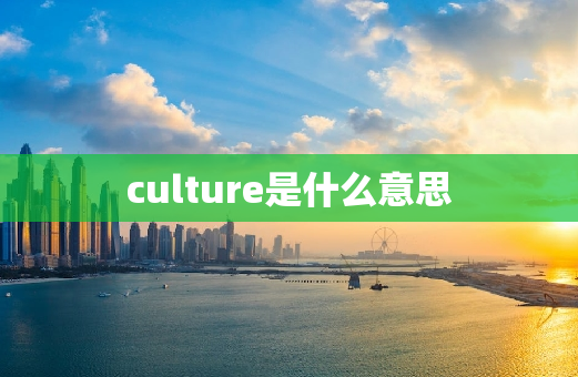 culture是什么意思